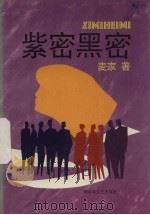 紫密黑密 1994 PDF电子版封面 7503304251 麦家著