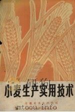 小麦生产实用技术（ PDF版）
