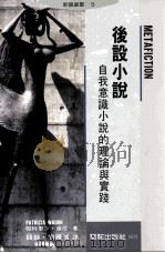 后设小说：自我意识小说的理论与实践（1995 PDF版）