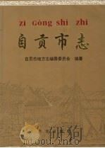自贡市志 上 1997 PDF电子版封面 7801222318 自贡市地方志编纂委员会