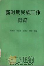新时期民族工作概览（1993 PDF版）