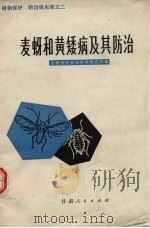 麦蚜和黄矮病及其防治（1973 PDF版）