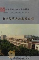 中国国情丛书 全国百家大中型企业调查 南宁化学工业集团公司 1995 PDF电子版封面 7800924033 肖永孜,寿思华主编