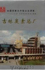 吉林炭素总厂 1995 PDF电子版封面 7800924114 夏有恒,金世和主编