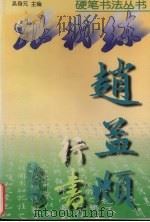 赵孟俯行书（1998 PDF版）