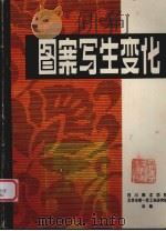 图案写生变化（ PDF版）