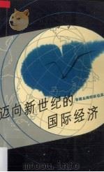 迈向新世纪的国际经济 1989 PDF电子版封面 7805416427 杨振汉主编