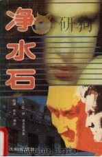 净水石（1988 PDF版）