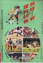 足球,疯狂的世界 1993 PDF电子版封面 7540206543 文冰著