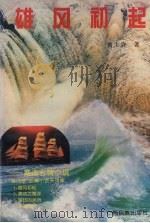 雄风初起  商海言情小说（1996 PDF版）