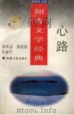 心路 1996 PDF电子版封面 7805873399 晓剑主编