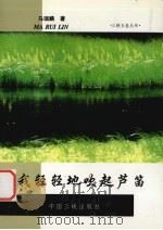 我轻轻地吹起芦笛（1999 PDF版）