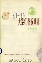 大寨红花遍地开  革命歌曲（1974 PDF版）