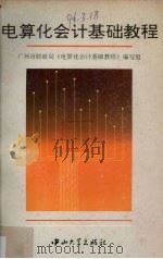 电算化会计基础教程（1994 PDF版）