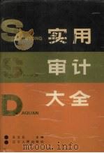 实用审计大全 1990 PDF电子版封面 7205014360 王文元主编