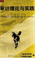 1990年审计理论与实践（ PDF版）