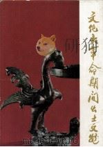 文化大革命期间出土文物（1973 PDF版）