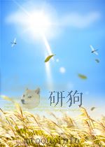 人体解剖学 PDF电子版封面 王凯华等编