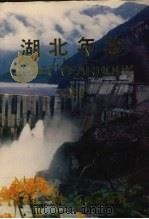 湖北年鉴 1994 总第6卷 1994 PDF电子版封面 10052585 湖北年鉴社编辑