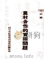 农村合作的实际问题（ PDF版）