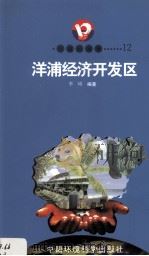 开放的海南  12  洋浦经济开发区（1998 PDF版）