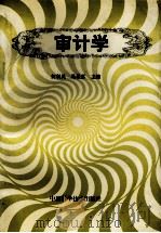 审计学 1999 PDF电子版封面 7504626120 何利民,马根喜主编
