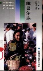 维吾尔族 1996 PDF电子版封面 7805474508 齐清顺,巴哈尔古丽著