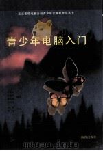 青少年电脑入门（1993 PDF版）