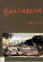 琼纵文艺战友纪念册   1991  PDF电子版封面    联欢会筹备组编 