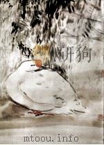 唐云花鸟画集（1984 PDF版）