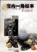室内一角标本  素描静物（1998 PDF版）