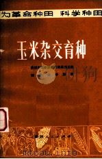 玉米杂交育种（1975 PDF版）