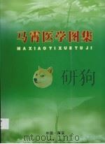 马宵医学图集（ PDF版）