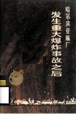 哈尔滨亚麻厂发生重大爆炸事故之后 1987 PDF电子版封面 7207001525 田登高,王同经编著