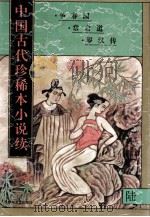 中国古代珍稀本小说续 6 1997 PDF电子版封面 7531316218 董文成等编