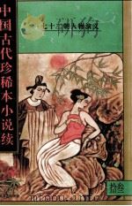中国古代珍稀本小说续 13 1997 PDF电子版封面 7531316218 董文成等编