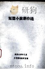 短篇小说新作选（ PDF版）
