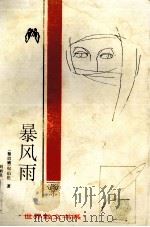 暴风雨（1994 PDF版）