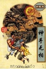 神手无相 4 1995 PDF电子版封面 7806053344 (台湾)柳残阳著