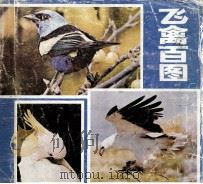 飞禽百图（1987 PDF版）