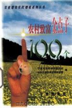 农村致富金点子100个（1999 PDF版）