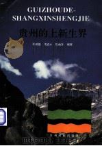 贵州的上新生界 1994 PDF电子版封面 7805843120 林树基等编著