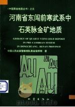 河南省东闯前寒武系中石英脉金矿地质（1997 PDF版）
