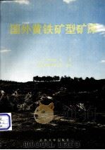 国外黄铁矿型矿床（1992.08 PDF版）