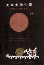 大学生物化学 上 细胞结构与功能之分子基础 1982 PDF电子版封面 Albert L.Lehninger著;陈国成编译