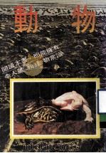 动物 1980 PDF电子版封面 本书编译组编