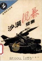 沙漠风暴续集 1991 PDF电子版封面 7501111707 芮边编