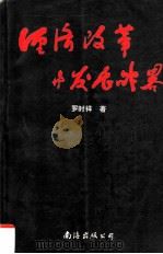 经济改革与发展战略（1993 PDF版）