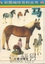 马 1998 PDF电子版封面 7530720465 (英)大卫·阿尔德顿原著;张菊译