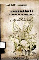 中山大学学报(自然科学)论丛 1 山茶属植物的系统研究 1981 PDF电子版封面 张宏达编